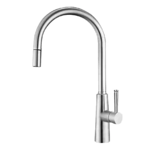 VÒI RỬA BÁT NÓNG LẠNH DÂY RÚT GRANDX GXF03 Dual Spray