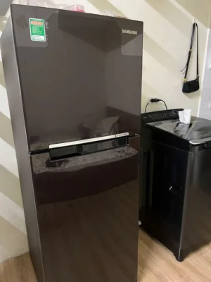 Tủ lạnh Samsung Inverter 236 lít RT22M4032BY/SV 23 Tủ lạnh Samsung Inverter 236 lít RT22M4032BY/SV