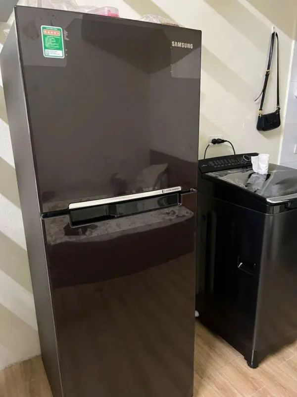 Tủ lạnh Samsung Inverter 236 lít RT22M4032BY/SV 33 Tủ lạnh Samsung Inverter 236 lít RT22M4032BY/SV