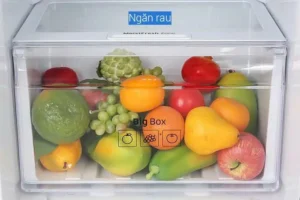 Tủ lạnh Samsung Inverter 236 lít RT22M4032BY/SV 20 Tủ lạnh Samsung Inverter 236 lít RT22M4032BY/SV