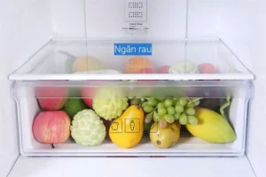 Tủ lạnh Samsung Inverter 280 lít RB27N4010BU/SV 19 Tủ lạnh Samsung Inverter 280 lít RB27N4010BU/SV