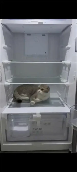 Tủ lạnh Samsung Inverter 305 lít RT31CG5424B1SV 23 Tủ lạnh Samsung Inverter 305 lít RT31CG5424B1SV