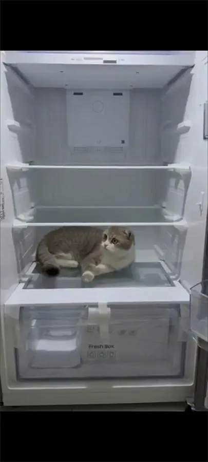 Tủ lạnh Samsung Inverter 305 lít RT31CG5424B1SV 12 Tủ lạnh Samsung Inverter 305 lít RT31CG5424B1SV