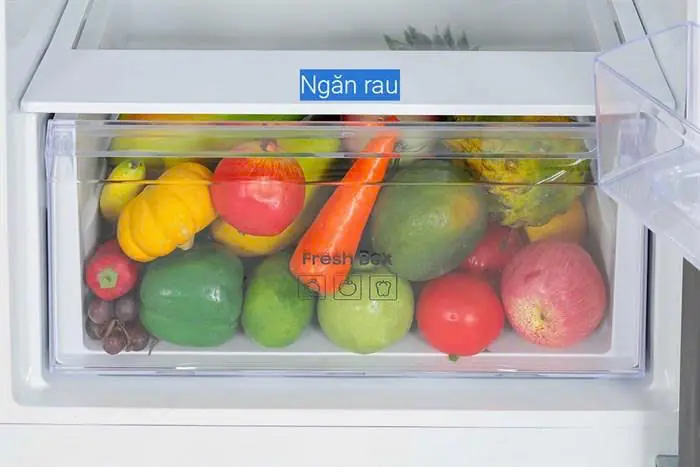 Tủ lạnh Samsung Inverter 345 lít RT35CG5544B1SV 34 Tủ lạnh Samsung Inverter 345 lít RT35CG5544B1SV