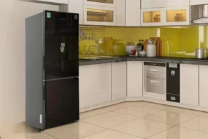 Tủ lạnh Samsung Inverter 307 lít RB30N4190BY/SV 20 Tủ lạnh Samsung Inverter 307 lít RB30N4190BY/SV