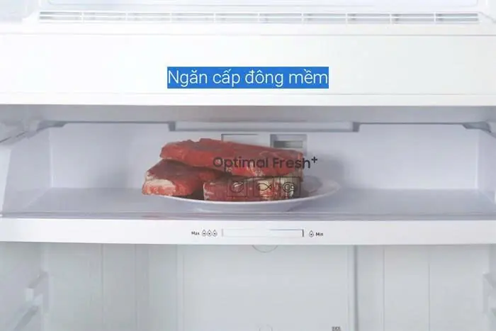 Tủ lạnh Samsung Inverter 406 lít RT42CG6584B1SV 28 Tủ lạnh Samsung Inverter 406 lít RT42CG6584B1SV