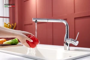 VÒI RỬA BÁT DÂY RÚT NOBINOX JAPA NX996 11 VÒI RỬA BÁT DÂY RÚT NOBINOX JAPA NX996