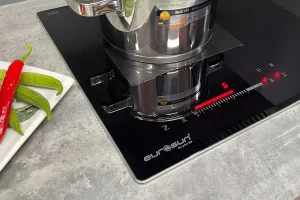 BẾP TỪ 2 VÙNG NẤU EUROSUN EU-T258PRO 31 BẾP TỪ 2 VÙNG NẤU EUROSUN EU-T258PRO - 4
