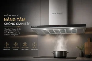 MÁY HÚT MÙI GẮN TƯỜNG EUROSUN EH-90AF79E - 79 1 3