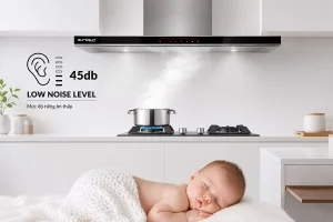 MÁY HÚT MÙI GẮN TƯỜNG EUROSUN EH-70AF79E - 79 5 1