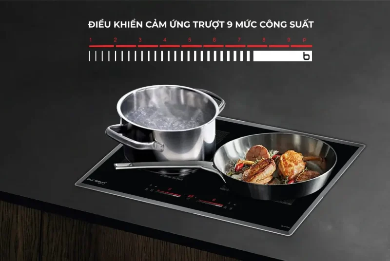 BẾP TỪ 2 VÙNG NẤU EUROSUN EU-T256MAX